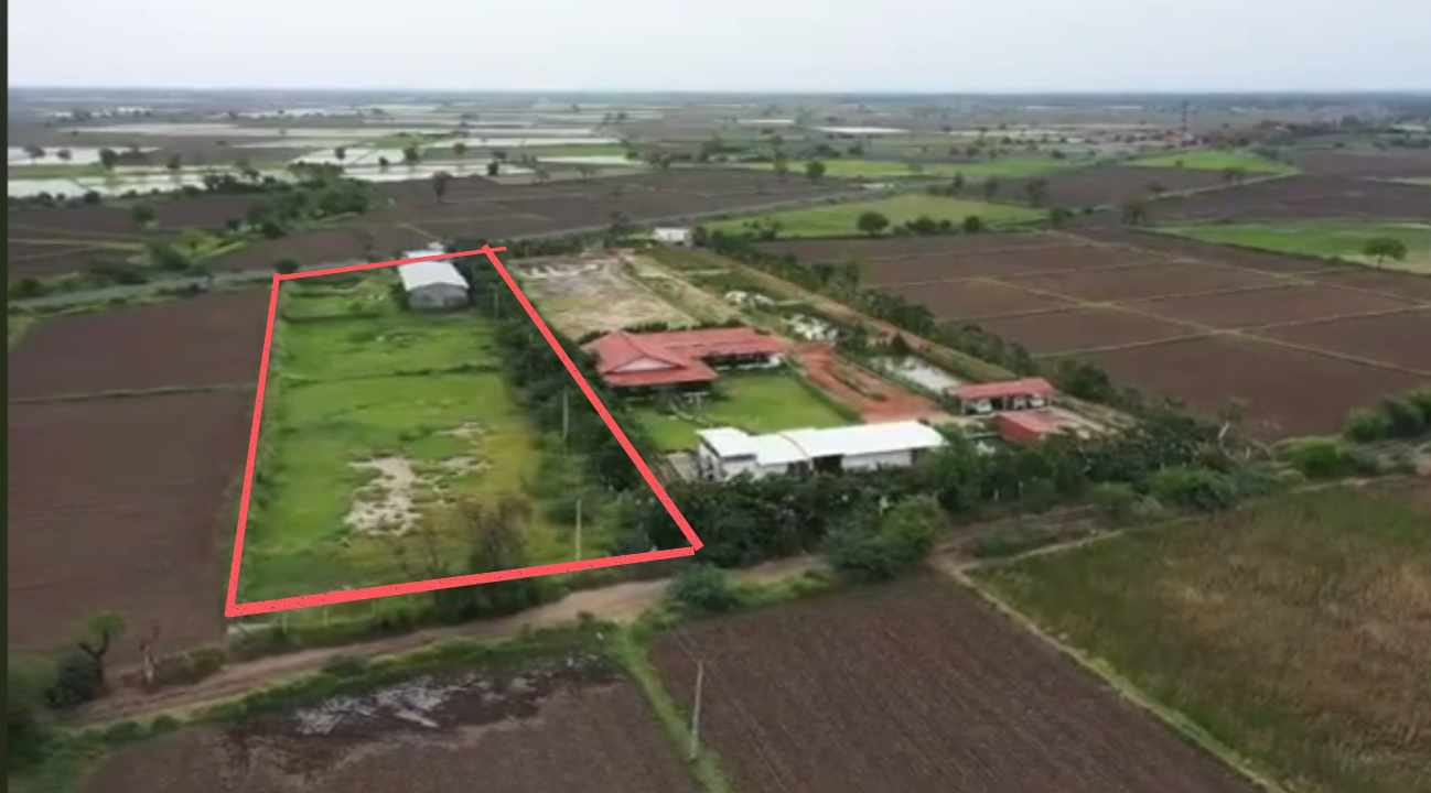 , land for sale near dholka
